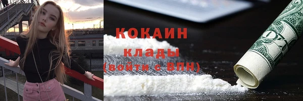 дживик Каменка