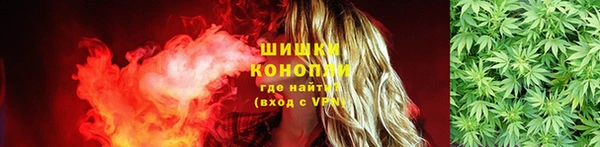 гидра Снежногорск