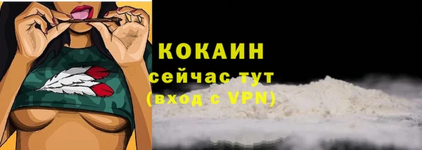 гидра Снежногорск