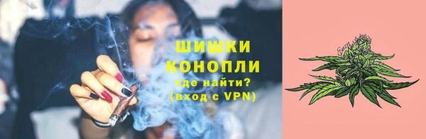 дживик Каменка