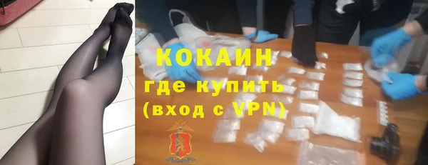 дживик Каменка