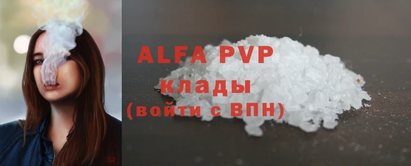 гидра Снежногорск