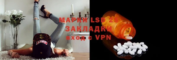 дживик Каменка
