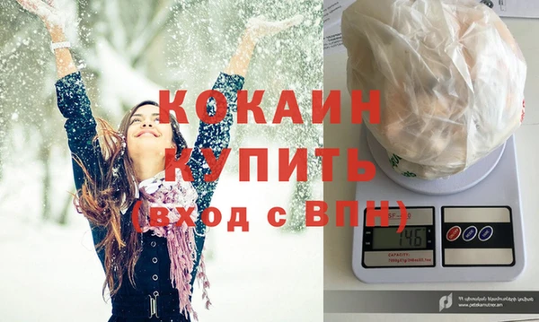 дживик Каменка