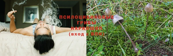 ПСИЛОЦИБИНОВЫЕ ГРИБЫ Каменск-Шахтинский
