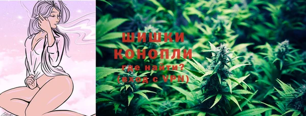 дживик Каменка