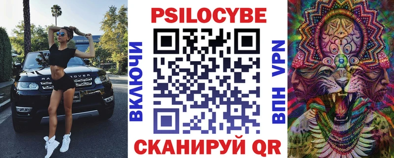 Купить закладки  Джанкой  Псилоцибиновые грибы GOLDEN TEACHER 